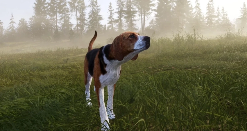 В анонсирующем трейлере Way of the Hunter 2 представили хвостатого компаньона охотника